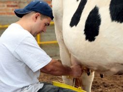 El volumen de productos lácteos en México fue de 12 mil millones de litros, señala la empresa Tetra Pack. ARCHIVO  /