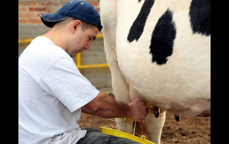 El volumen de productos lácteos en México fue de 12 mil millones de litros, señala la empresa Tetra Pack. ARCHIVO  /