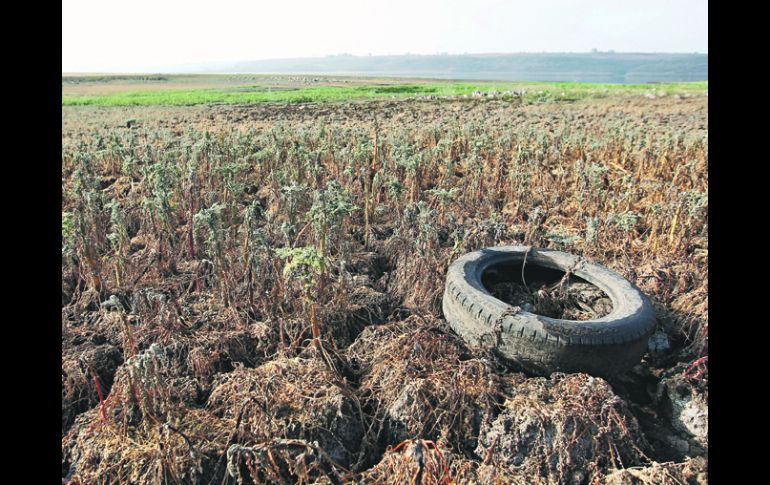 La zona de Los Altos dispone de un acuífero en concreto, pero, pese a que hay permiso para abrir nuevos pozos, aportan escaso líquido.  /