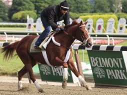 I'll Have Another trabaja en la pista del Belmont Park previo a la carrera del sábado. AP  /