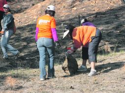 Asociados de la cadena The Home Depot en Guadalajara realizan trabajos a favor del bosque.  /