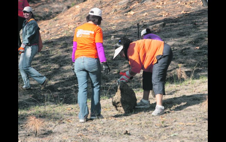 Asociados de la cadena The Home Depot en Guadalajara realizan trabajos a favor del bosque.  /