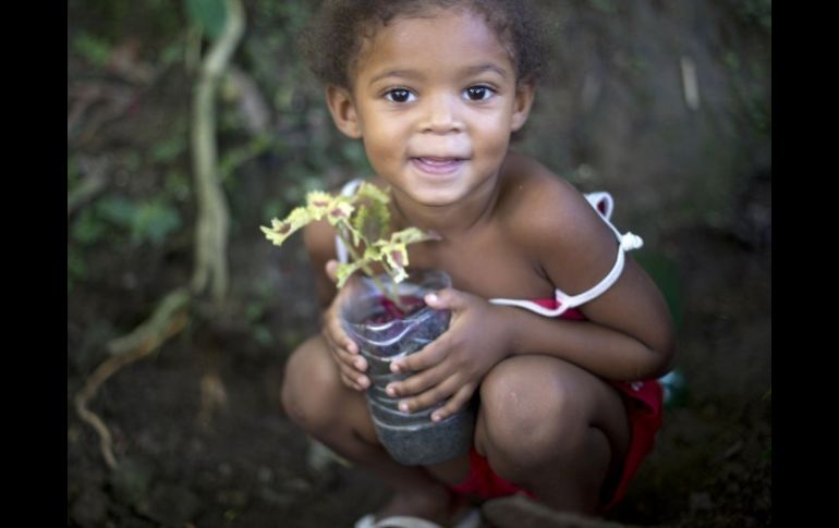 Una niña solidariamente ayuda a transformar un basural en un ejemplo mundial. AFP  /