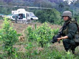 Durante la operación, fue detenido un colombiano, quien al parecer estaba encargado de la custodia del menor desde abril. ARCHIVO  /