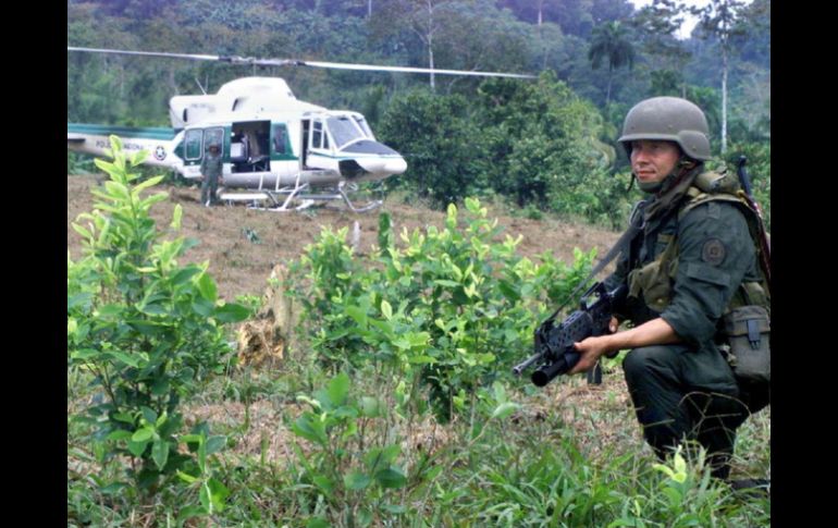 Durante la operación, fue detenido un colombiano, quien al parecer estaba encargado de la custodia del menor desde abril. ARCHIVO  /