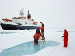 La biomasa de fitoplancton se extendía unos 100 kilómetros en la plataforma de hielo del Ártico. ARCHIVO  /