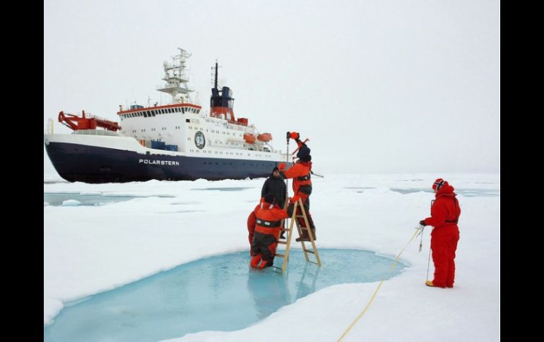 La biomasa de fitoplancton se extendía unos 100 kilómetros en la plataforma de hielo del Ártico. ARCHIVO  /