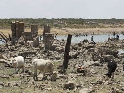 Las sequías asolan regiones del país, un ejemplo son los Altos de Jalisco. ARCHIVO  /