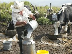 En México, el consumo de leche es de 300 mililitros, mientras que lo ideal es de 500, de acuerdo con la FAO. ARCHIVO  /