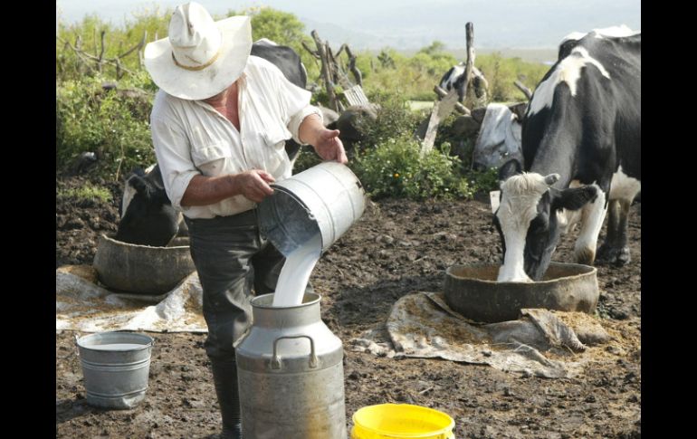 En México, el consumo de leche es de 300 mililitros, mientras que lo ideal es de 500, de acuerdo con la FAO. ARCHIVO  /