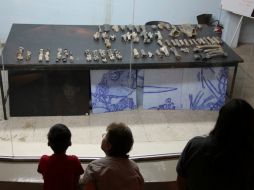 'Trabaja como el paleontólogo' en el Museo de Paleontología.  /