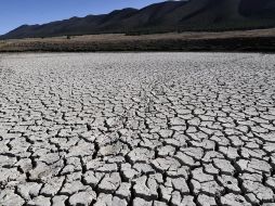 La falta de lluvias amenaza con recortar el volumen de las cosechas en otoño, lo que agravaría la crisis alimentaria del país. ARCHIVO  /