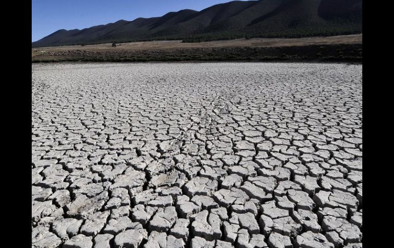 La falta de lluvias amenaza con recortar el volumen de las cosechas en otoño, lo que agravaría la crisis alimentaria del país. ARCHIVO  /