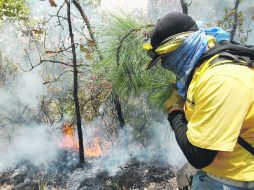 De aplicarse las reformas, si el daño es ocasionado a un área natural protegida, la pena se incrementará, además, una cuarta parte.  /