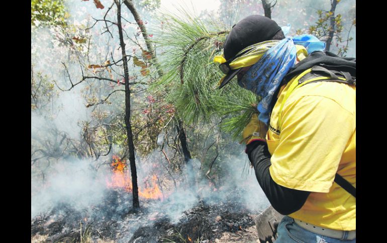 De aplicarse las reformas, si el daño es ocasionado a un área natural protegida, la pena se incrementará, además, una cuarta parte.  /