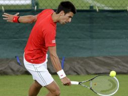 Djokovic se prepara para defender Wimbledon y el número uno del mundo. EFE  /