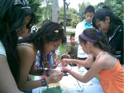 Los talleres en el Agua Azul promoverán el cuidado del medio ambiente.  /