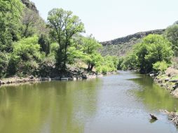 El cañón. La senda la marca el río Verde, que se embellece gracias a las paredes de vegetación y el clima que genera.  /