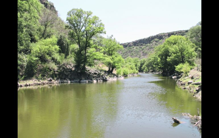 El cañón. La senda la marca el río Verde, que se embellece gracias a las paredes de vegetación y el clima que genera.  /