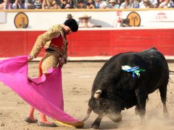 En la Monumental Plaza de Toros México se dará la segunda novillada de la Temporada Chica 2012. ARCHIVO  /