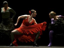 La Temporada de Danza Flamenca, que se realizará del 23 al 31 de julio, en el Teatro Jiménez Rueda. ARCHIVO  /