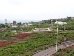 La reforestación de 55 hectáreas del cerro, ha quedado detenida, para dar paso a la edificación del centro educativo.  /