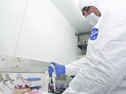 BIOSEGURIDAD. Tres laboratorios particulares recibieron la semilla para la elaboración de las vacunas.  /