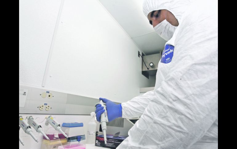 BIOSEGURIDAD. Tres laboratorios particulares recibieron la semilla para la elaboración de las vacunas.  /