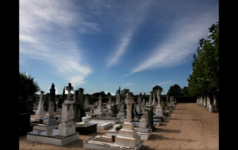 El cementerio será sometido en a 'breve' pasada. ARCHIVO  /