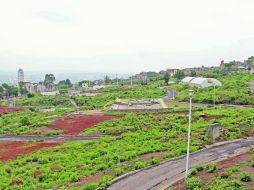 Los vecinos ya habían firmado para dar su apoyo al parque ecológico, pero el Ayuntamiento de Tlaquepaque cambió el uso de suelo.  /