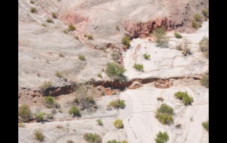 En 1995 el Departamento de Meteorología registró 51.8 grados de temperatura, lo que afectó mucho a la población. ESPECIAL  /