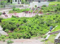 PULMÓN ECOLÓGICO.- Área del Cerro del Cuatro que el Ayuntamiento de Tlaquepaque pretende entregar a la Universidad de Guadalajara.  /