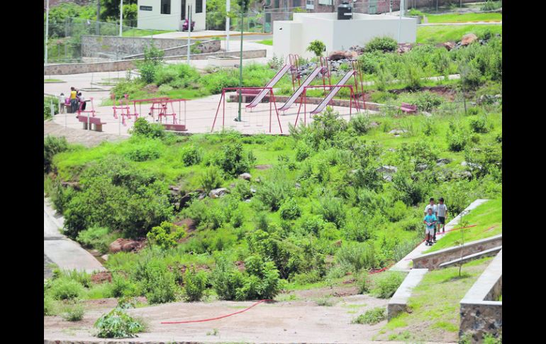 PULMÓN ECOLÓGICO.- Área del Cerro del Cuatro que el Ayuntamiento de Tlaquepaque pretende entregar a la Universidad de Guadalajara.  /