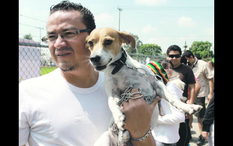 Fiesta. Numerosos perros, y sus dueños, celebraron en el Parque Metropolitano.  /