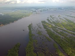 La selva amazona es una de las zonas  que se ha visto más amenazada durante los últimos años. ARCHIVO  /