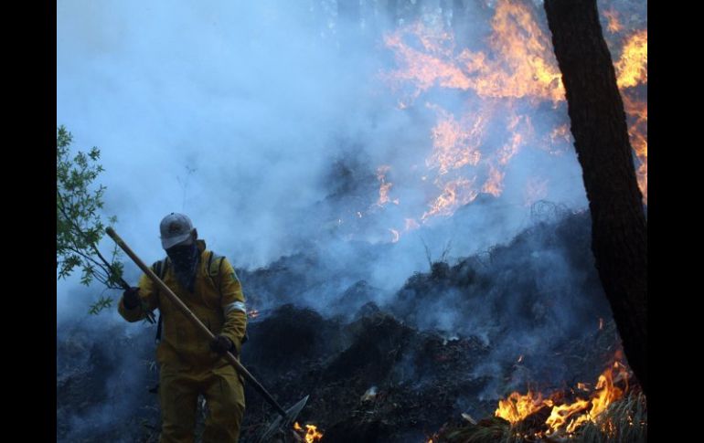 Luego del incendio de abril pasado, los trabajadores no han visto cambios en condiciones laborales. ARCHIVO  /