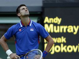 El serbio Novak Djokovic se lamenta luego de perder ante el británico Andy Murray. EFE  /