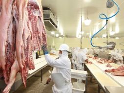 alisco produce al año un poco más de 200 mil toneladas de carne de cerdo; San Juan de los Lagos es municipio líder. ARCHIVO  /