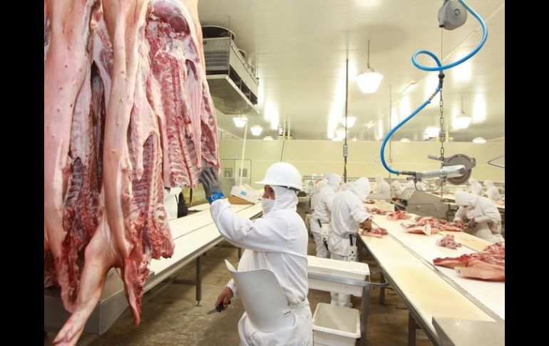 alisco produce al año un poco más de 200 mil toneladas de carne de cerdo; San Juan de los Lagos es municipio líder. ARCHIVO  /