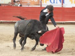 Las buenas hechuras del joven prendieron de inmediato a la afición.  /