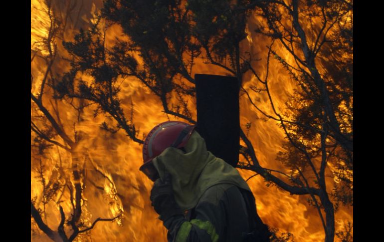 Los cambios ambientales están teniendo un efecto masivo alrededor de globo. ARCHIVO  /