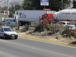 Sobre Carretera a Chapala, son alrededor de 40 árboles los derribados intencionalmente. ARCHIVO  /