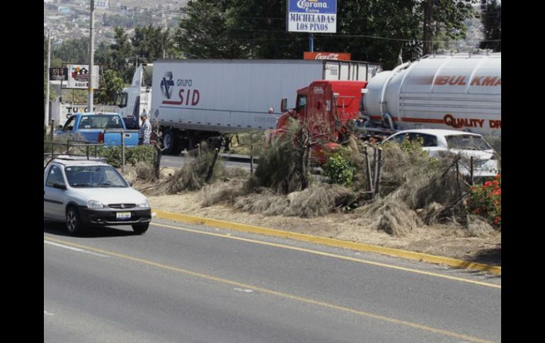 Sobre Carretera a Chapala, son alrededor de 40 árboles los derribados intencionalmente. ARCHIVO  /