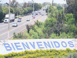 El quinto caso. Al menos 10 casuarinas del camellón de la Carretera a Chapala lucen los estragos de otra poda que nadie vio.  /