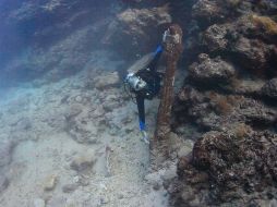 Este naufragio revelará una gran cantidad de información sobre la historia de Tonga y, específicamente, sobre las islas de Ha'apai. AFP  /