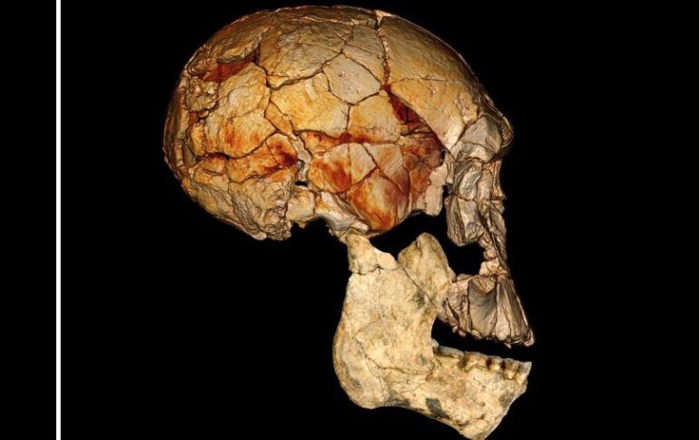 La revista Nature nos plantea evidencias de un concepto evolutivo de le raza humana diferente a las teorías actuales. EFE  /