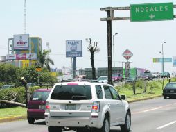 EL CAMELLÓN DE LA CARRETERA A CHAPALA.Casuarinas, fresnos y jacarandas fueron algunas de las víctimas.  /