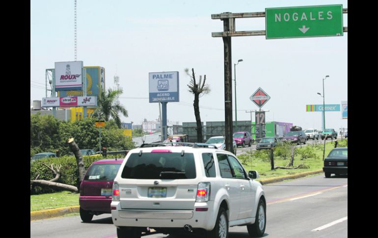 EL CAMELLÓN DE LA CARRETERA A CHAPALA.Casuarinas, fresnos y jacarandas fueron algunas de las víctimas.  /