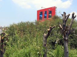 Desde los años setenta la ciudad ya presentaba un déficit casi de 70 kilómetros cuadrados de área verde. ARCHIVO  /