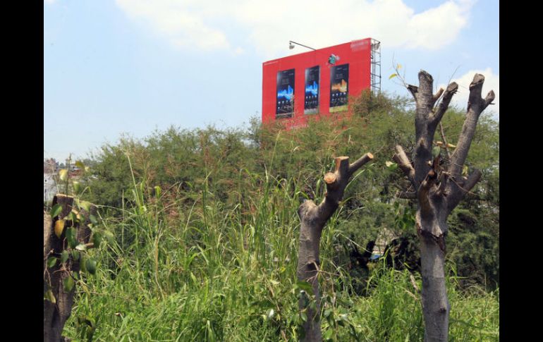 Desde los años setenta la ciudad ya presentaba un déficit casi de 70 kilómetros cuadrados de área verde. ARCHIVO  /